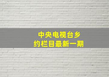 中央电视台乡约栏目最新一期