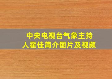 中央电视台气象主持人霍佳简介图片及视频