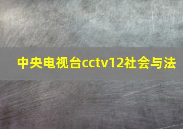 中央电视台cctv12社会与法