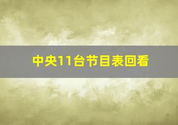 中央11台节目表回看