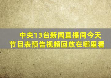 中央13台新闻直播间今天节目表预告视频回放在哪里看