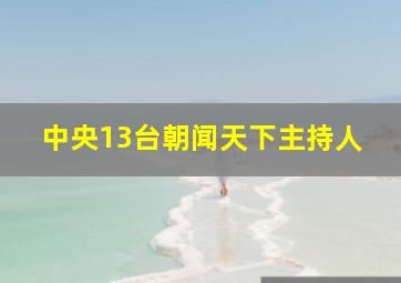 中央13台朝闻天下主持人