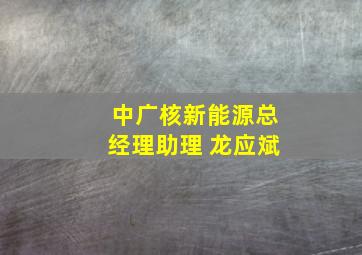 中广核新能源总经理助理 龙应斌