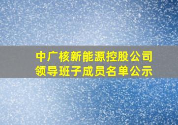 中广核新能源控股公司领导班子成员名单公示