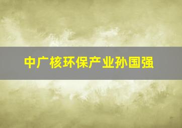 中广核环保产业孙国强