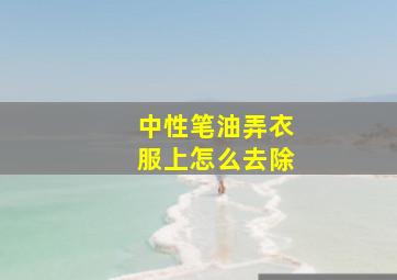 中性笔油弄衣服上怎么去除