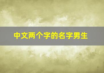 中文两个字的名字男生