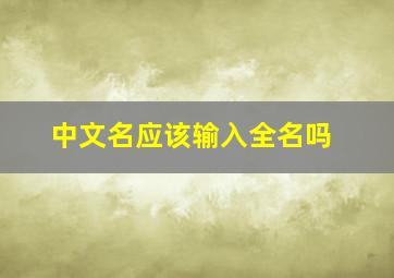 中文名应该输入全名吗