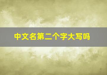 中文名第二个字大写吗