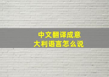 中文翻译成意大利语言怎么说