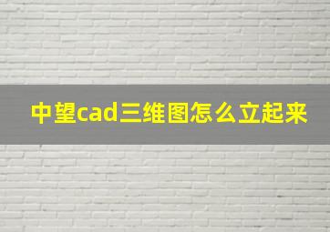 中望cad三维图怎么立起来