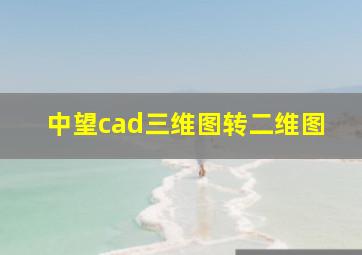 中望cad三维图转二维图