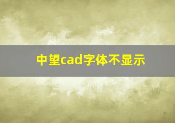 中望cad字体不显示