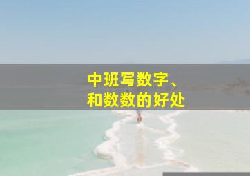 中班写数字、和数数的好处