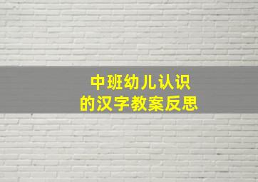 中班幼儿认识的汉字教案反思