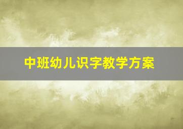 中班幼儿识字教学方案