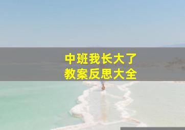 中班我长大了教案反思大全