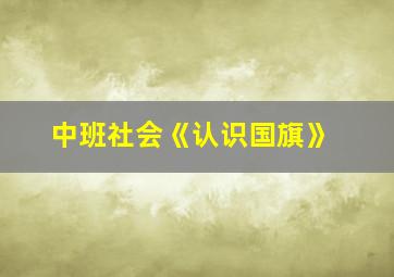 中班社会《认识国旗》