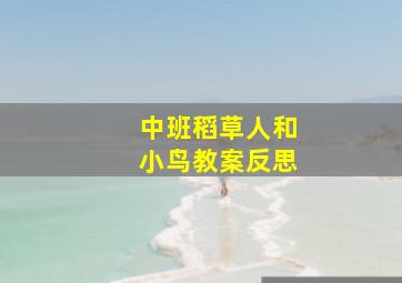 中班稻草人和小鸟教案反思