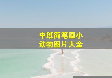 中班简笔画小动物图片大全