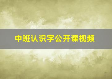 中班认识字公开课视频