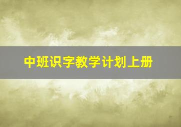 中班识字教学计划上册