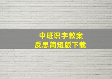 中班识字教案反思简短版下载