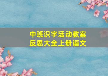 中班识字活动教案反思大全上册语文