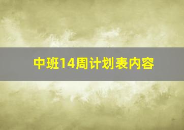 中班14周计划表内容