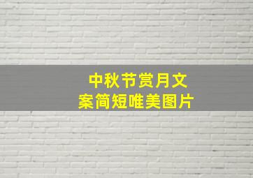 中秋节赏月文案简短唯美图片