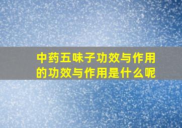 中药五味子功效与作用的功效与作用是什么呢