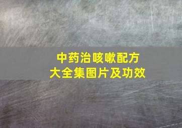 中药治咳嗽配方大全集图片及功效