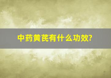 中药黄芪有什么功效?