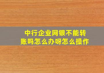 中行企业网银不能转账吗怎么办呀怎么操作