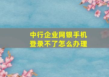 中行企业网银手机登录不了怎么办理