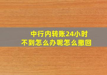 中行内转账24小时不到怎么办呢怎么撤回