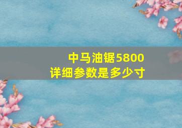 中马油锯5800详细参数是多少寸