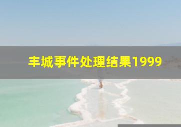 丰城事件处理结果1999