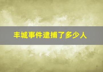 丰城事件逮捕了多少人