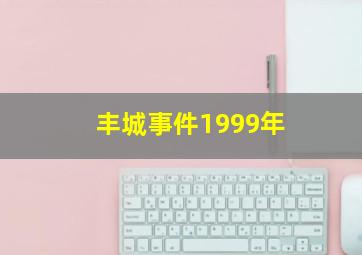 丰城事件1999年