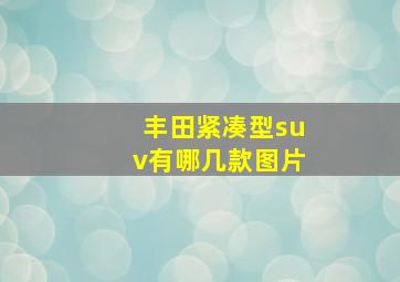 丰田紧凑型suv有哪几款图片