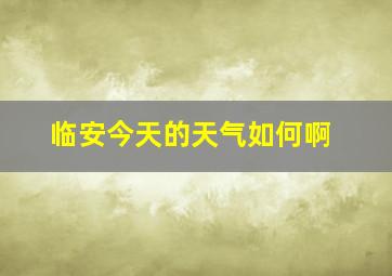 临安今天的天气如何啊