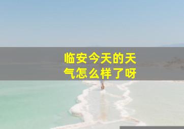 临安今天的天气怎么样了呀