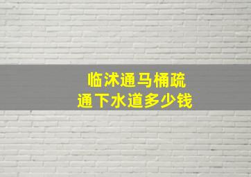 临沭通马桶疏通下水道多少钱