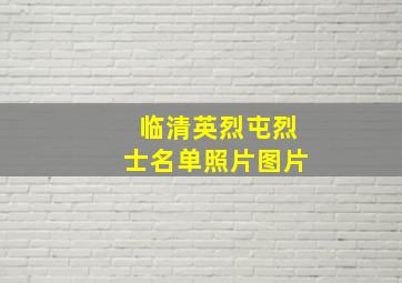 临清英烈屯烈士名单照片图片