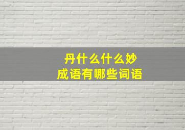 丹什么什么妙成语有哪些词语