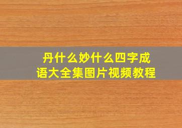 丹什么妙什么四字成语大全集图片视频教程