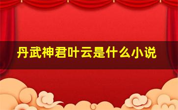 丹武神君叶云是什么小说