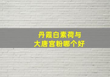 丹霞白素荷与大唐宫粉哪个好