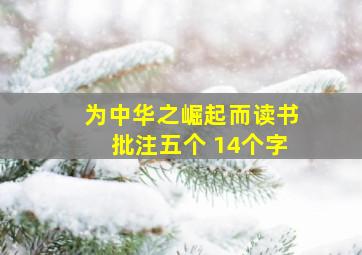 为中华之崛起而读书批注五个 14个字